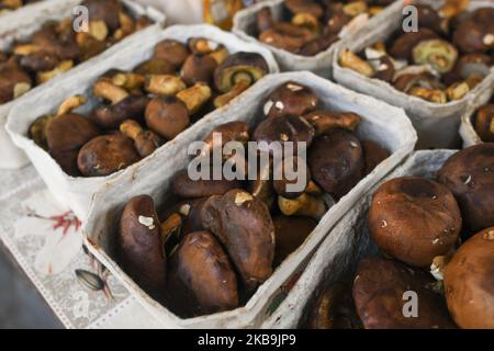 Un venditore locale di funghi con cestini pieni di funghi Bay bolete (Imleria badia) visto su un mercato verde a Rzeszow. In Polonia, l'autunno è per i funghi, e ogni anno, da settembre a novembre, la raccolta dei funghi diventa un hobby nazionale. L'epidemia di funghi estremamente abbondante quest'anno ha causato che le foreste di Podkarpackie sono state visitate dai raccoglitrici di funghi dalla Romania nelle ultime settimane. Mercoledì 30 ottobre 2019 a Rzeszow, Polonia. (Foto di Artur Widak/NurPhoto) Foto Stock