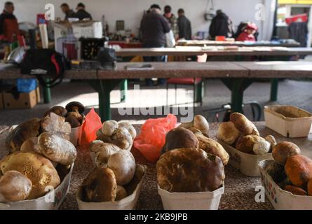 Un venditore locale di funghi con cesti di Bay bolete (Imleria badia), punteggiato gambo bolete (Neoboletus luridiformis), Penny Bun (Boletus edulis), Suillus e altri funghi, visto su un mercato verde a Rzeszow. In Polonia, l'autunno è per i funghi, e ogni anno, da settembre a novembre, la raccolta dei funghi diventa un hobby nazionale. L'epidemia di funghi estremamente abbondante quest'anno ha causato che le foreste di Podkarpackie sono state visitate dai raccoglitrici di funghi dalla Romania nelle ultime settimane. Mercoledì 30 ottobre 2019 a Rzeszow, Polonia. (Foto di Artur Widak/NurPhoto) Foto Stock