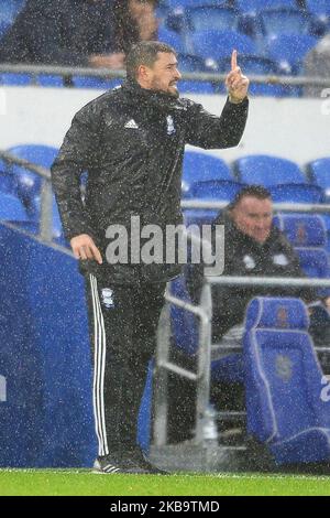 Pep Clotet, direttore della città di Birmingham, durante la partita del campionato Sky Bet tra Cardiff City e Birmingham City al Cardiff City Stadium di Cardiff sabato 2nd novembre 2019. (Foto Jeff Thomas/MI News/NurPhoto) Foto Stock