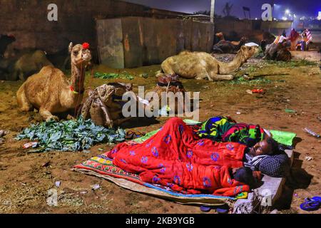 I venditori di cammelli si scaldano durante la notte fredda dopo la pioggia pesante alla fiera di Pushkar, Rajasthan, India, 03 novembre 2019.Thouses dei commercianti di bestiame dalla regione vengono alla fiera tradizionale del cammello dove il bestiame, principalmente cammelli, è commerciato. La fiera annuale del cammello e del bestiame è una delle più grandi fiere mondiali del cammello. (Foto di Vishal Bhatnagar/NurPhoto) Foto Stock