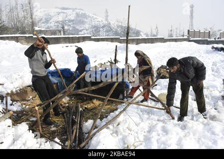 Le persone nomadi hanno ripulito la tenda di fortuna dopo che è stata dannata da forti nevicate nella periferia di Srinagar, indiano amministrato kashmir il 08 novembre 2019. La valle del Kashmir ha ricevuto la sua prima nevicata il giovedì che ha danneggiato la proprietà in molti luoghi ha provocato l'uccisione di sette persone. (Foto di Muzamil Mattoo/NurPhoto) Foto Stock