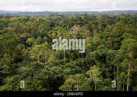 Maripasoula, Francia, 29 giugno 2019. Una vista aerea della foresta amazzonica vicino all'aeroporto del comune di Maripasoula. (Foto di Emeric Fohlen/NurPhoto) Foto Stock
