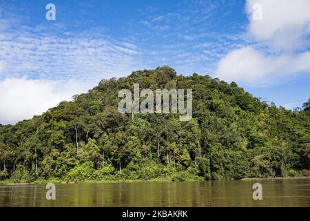 Maripasoula, Francia, 29 giugno 2019. La vegetazione della foresta amazzonica dal fiume Maroni a Antecume-Pata da Maripasoula. (Foto di Emeric Fohlen/NurPhoto) Foto Stock
