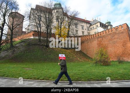 Un uomo cammina con una bandiera nazionale polacca durante la marcia dell'Indipendenza fuori dal Castello di Wawel, in vista delle celebrazioni ufficiali di Cracovia del 11th novembre - Giornata dell'Indipendenza polacca, e del 101st° anniversario del ripristino della sovranità della Polonia come seconda Repubblica polacca nel 1918. Il 11 novembre 1918, la Polonia ha riconquistato la sua indipendenza dopo 123 anni di prigionia, durante i quali la Polonia era sotto il dominio di tre paesi che si separavano: Austria, Prussia e Russia. (Foto di Artur Widak/NurPhoto) Foto Stock