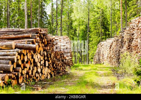 Cataste di tronchi su strada forestale in una giornata di sole estate nel sud della Finlandia. Foto Stock
