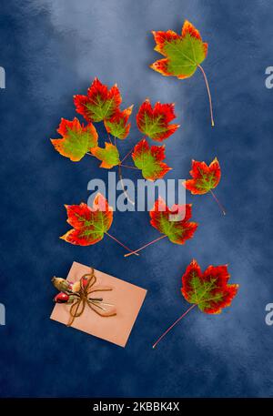 Colorful rosso e verde autunno acero foglie su sfondo blu scuro. Busta con fiori secchi e un arco. Foto Stock