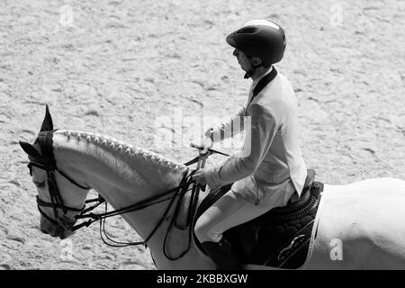 Un partecipante al suo cavallo durante la settimana del Cavallo di Madrid CSI5 a Ifema Madrid 29 novembre 2019 Spagna. Un evento di 3 giorni di competizioni, spettacoli e mostre. (Foto di Oscar Gonzalez/NurPhoto) Foto Stock