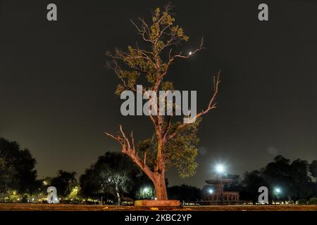 La mezza luna è vista attraverso i branchi di un albero a Nuova Delhi, India il 02 dicembre 2019 (Foto di Nasir Kachroo/NurPhoto) Foto Stock