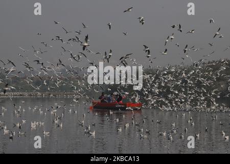 Gli indiani prendono un giro su una barca mentre i gabbiani volano sopra le acque inquinate del fiume Yamuna a Nuova Delhi India il 07 dicembre 2019 (Foto di Nasir Kachroo/NurPhoto) Foto Stock