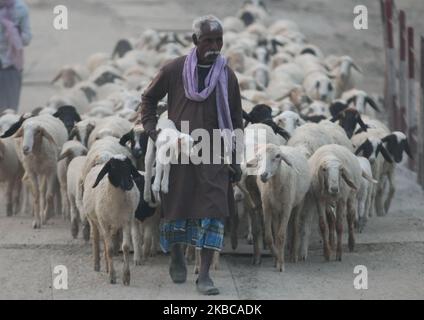 Un pastore indiano guida un gregge di pecore , nella periferia di Allahabad il 7 dicembre 2019 . (Foto di Ritesh Shukla ) (Foto di Ritesh Shukla/NurPhoto) Foto Stock