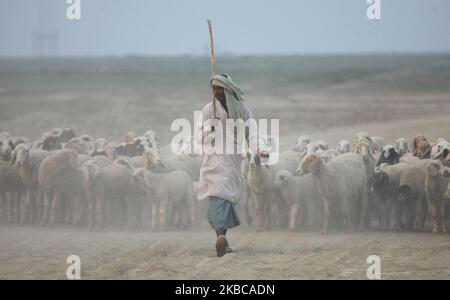 Un pastore indiano guida un gregge di pecore , nella periferia di Allahabad il 7 dicembre 2019 . (Foto di Ritesh Shukla ) (Foto di Ritesh Shukla/NurPhoto) Foto Stock