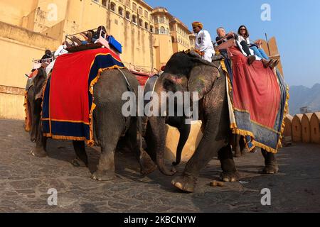 Elephants at the Amer Fort in Jaipur, India on December 11, 2019. (Photo by STR/NurPhoto) Stock Photo