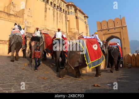 Elephants at the Amer Fort in Jaipur, India on December 11, 2019. (Photo by STR/NurPhoto) Stock Photo