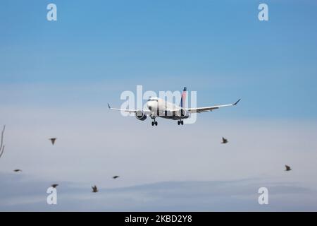 Delta Air Lines Airbus A220-100 come visto all'atterraggio di avvicinamento finale con l'ingranaggio di atterraggio giù a New York JFK John F. Kennedy International Airport il 14 novembre 2019 a New York, Stati Uniti. L'aereo ha i motori a getto N121DU, 2x PW registrati. Il nuovo Airbus A220 era Bombardier CS100, BD-500-1A10. Delta Air Lines DL Delta è la più grande compagnia aerea del mondo con un hub a New York-JFK. (Foto di Nicolas Economou/NurPhoto) Foto Stock