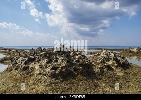 Formazioni coralline morte alla spiaggia di Laxmanpur 2 nell'isola di Neil delle Andamane, 9 dicembre 2019. Durante lo tsunami, questi interi coralli sono venuti al di fuori del livello dell'acqua di mare e a causa delle insufficienti risorse idriche sono morti. (Foto di Dipayan Bose/NurPhoto) Foto Stock