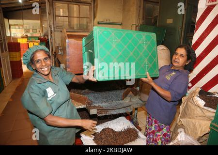 I lavoratori hanno messo le foglie di tè in una macchina di essiccazione presso la fabbrica di tè Geragama di Pilimathalawa, Sri Lanka. Geragama è una delle più antiche e pregiate piantagioni di tè dello Sri Lanka, risalente al 1903. (Foto di Creative Touch Imaging Ltd./NurPhoto) Foto Stock