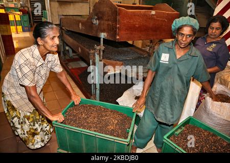 I lavoratori ordinano le foglie di tè appena tostate presso la fabbrica di tè Geragama a Pilimathalawa, Sri Lanka. Geragama è una delle più antiche e pregiate piantagioni di tè dello Sri Lanka, risalente al 1903. (Foto di Creative Touch Imaging Ltd./NurPhoto) Foto Stock