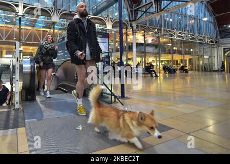 La gente cavalca la metropolitana di Londra senza pantaloni mentre frequentano il 11th No Trusers Tube Ride il 12 gennaio 2020 a Londra, Inghilterra. Originando come un punto di partenza sulla metropolitana di New York, il 'No Pants on the Subway Ride' (noto anche come 'No Trusers Tube Ride') è diventato un evento annuale internazionale, durante il quale i partecipanti viaggiano sul sistema di trasporto sotterraneo senza i loro pantaloni. (Foto di Alberto Pezzali/NurPhoto) Foto Stock