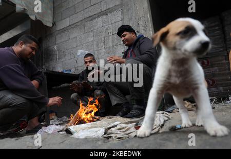 Un lavoratore palestinese alimenta un cane mentre lui e i suoi compagni si scaldano da un incendio nella città di Gaza il 13 gennaio 2020. (Foto di Majdi Fathi/NurPhoto) Foto Stock