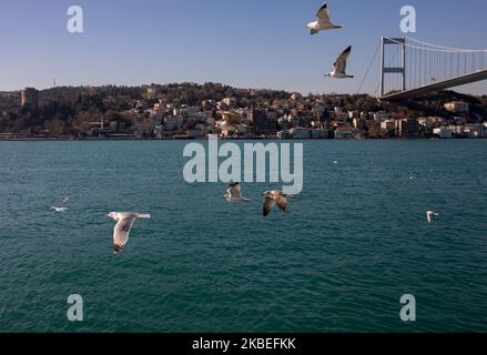 Per il progetto Canal (Kanal) Istanbul, un canale artificiale di 45 km sarà costruito parallelamente al Bosforo, a ovest della città, che collega il Mar Nero con il Mar di Marmara. Secondo fonti governative, l'intenzione è quella di alleviare il pesante traffico marittimo sul Bosforo e di evitare incidenti. Il progetto di costruzione è all'ordine del giorno dal 2011 ed è sostenuto dal presidente Recep Tayyip Erdogan. Ma i partiti di opposizione, il sindaco di Istanbul Ekrem Imamoglu e il pubblico sollevano obiezioni a causa dei danni che il progetto causerà alla natura della zona. Il Bosph Foto Stock