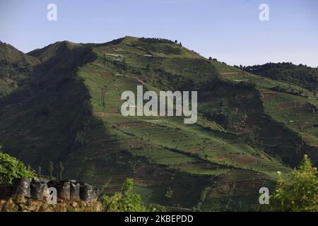 Una vista naturale nella regione del Dieng Plateau, Wonosobo Regency, Central Java, il 13 gennaio 2020. (Foto di Adriana Adie/NurPhoto) Foto Stock