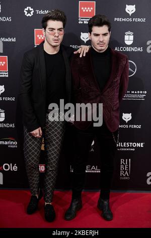 Gemeliers partecipa ai Feroz Awards 2020 al Teatro Auditorio Ciudad de Alcobendas il 16 gennaio 2020 a Madrid, Spagna. (Foto di A. Ware/NurPhoto) Foto Stock