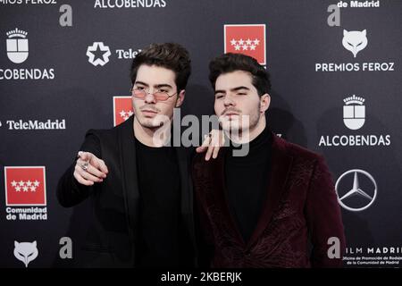 Gemeliers partecipa ai Feroz Awards 2020 al Teatro Auditorio Ciudad de Alcobendas il 16 gennaio 2020 a Madrid, Spagna. (Foto di A. Ware/NurPhoto) Foto Stock