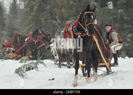 Partecipanti alla sfilata della 2020 edizione del concorso Poronin Kumoterki (gara tradizionale di carri). Domenica 19 gennaio 2019, a Male Ciche Lichajowki, Poronin, Polonia. (Foto di Artur Widak/NurPhoto) Foto Stock