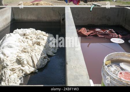 Tessuto tinto indaco (a sinistra) e tessuto tinto melograno foto in bagno di lavaggio a Bagru, Jaipur distretto, Rajasthan, India il 17 marzo 2019. Gli escrementi vengono successivamente utilizzati per bruciare la stufa per bollire l'acqua con coloranti naturali. La stampa su tessuti è una specialità indiana, la stampa a blocchi di legno è già utilizzata per centinaia di anni. Bagru è famosa per la stampa esclusivamente con colori naturali. I principali esperti sono membri della comunità Chhipa. (Chhi - tintura, pa - lasci qualcosa asciugare al sole). La gente del posto stima che ci siano circa 200 laboratori di stampa in e intorno a Bagru, che tinge i tessuti Foto Stock