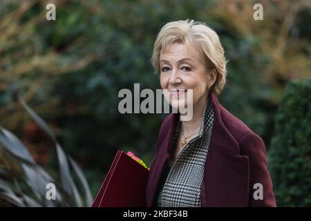 Il Segretario di Stato per le imprese, l'energia e la strategia industriale Andrea Leadsom partecipa a una riunione settimanale del Gabinetto a Downing Street, nel centro di Londra, il 21 gennaio 2020 a Londra, Inghilterra. (Foto di Wiktor Szymanowicz/NurPhoto) Foto Stock