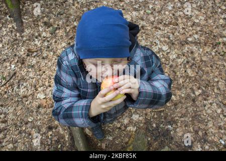 il ragazzo morde una mela nella foresta autunnale a un angolo dall'alto di tiro Foto Stock