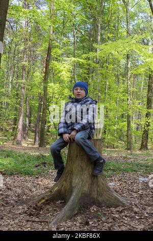 ragazzo in occhiali siede su vecchio ceppo nella foresta Foto Stock