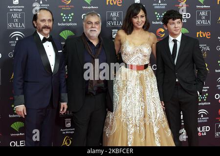 Benito Zambrano, Yoima Valdes, Luis Callejo partecipa al Cinema Awards 34th 'Goya' Fotocall 2020 Red Carpet al Palazzo dello Sport Jose Maria Martin Carpena di Malaga, Spagna il 25 gennaio 2020 (Foto di Carlos Dafonte/NurPhoto) Foto Stock