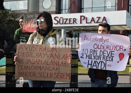 Gli attivisti della Animal Freedom Initiative hanno protestato contro l'Australia, che secondo loro stava progettando di uccidere cammelli e gatti, prima del Consolato Generale Australiano a Istanbul, in Turchia, il 26 gennaio 2020. (Foto di Onur Dogman/NurPhoto) Foto Stock