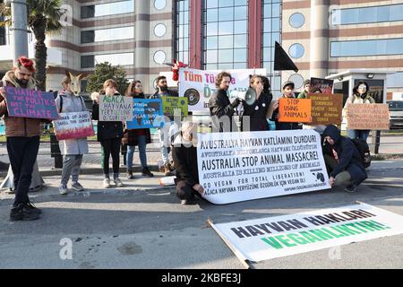 Gli attivisti della Animal Freedom Initiative hanno protestato contro l'Australia, che secondo loro stava progettando di uccidere cammelli e gatti, prima del Consolato Generale Australiano a Istanbul, in Turchia, il 26 gennaio 2020. (Foto di Onur Dogman/NurPhoto) Foto Stock