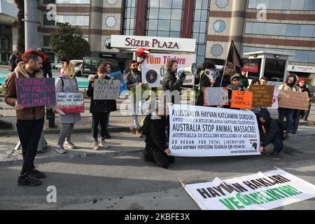 Gli attivisti della Animal Freedom Initiative hanno protestato contro l'Australia, che secondo loro stava progettando di uccidere cammelli e gatti, prima del Consolato Generale Australiano a Istanbul, in Turchia, il 26 gennaio 2020. (Foto di Onur Dogman/NurPhoto) Foto Stock