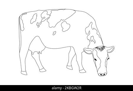 La mucca al pascolo è uno schizzo lineare nero minimalista isolato su sfondo bianco. Illustrazione vettoriale Una mucca di cassa sta pascolando in un campo, mangiando erba. Mi Illustrazione Vettoriale