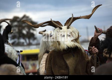 4th Festival dei giochi di masquerade a Elin Pelin, Bulgaria, 15 febbraio 2020. I partecipanti ballano con costumi di pelle animale, campane e maschere, per cacciare gli spiriti malvagi e attirare la fertilità. (Foto di Hristo Vladev/NurPhoto) Foto Stock