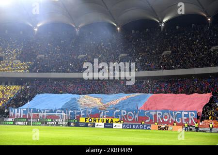 Tifosi di FCSB durante la partita tra Dinamo Bucarest vs FCSB, per il Calcio Romania, Liga 1, all'Arena Nationala, a Bucarest, Romania, Il 16 febbraio 2020. (Foto di Alex Nicodim/NurPhoto) Foto Stock