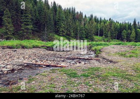 Una bella valle nel piccolo Beskids in Polonia. Fiume backwaters. Montagne coperte di alberi di abete rosso. Erba selvatica in primo piano. Foto Stock