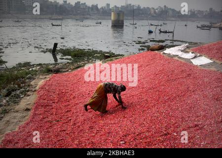 Un lavoratore sparge trucioli di plastica riciclata dopo il lavaggio nel fiume Buriganga a Dhaka, Bangladesh Giovedi, 20,2020 febbraio. Il fiume Buriganga, che scorre dalla città di Dhaka, è oggi uno dei fiumi più inquinati del mondo a causa del dilagante dumping di sprechi umani e industriali. (Foto di Syed Mahamudur Rahman/NurPhoto) Foto Stock