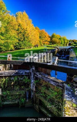 Vivace colore autunnale accanto al blocco più alto della 29 a Caen Hill sul canale Kennet & Avon, nr Devizes, Wiltshire, Inghilterra, Regno Unito Foto Stock