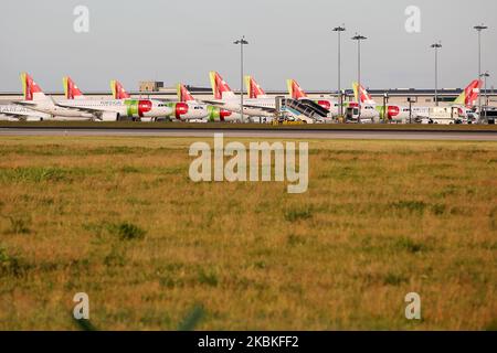 Aircrafts of TAP Air Portugal sit on the Humberto Delgado International Airport, in Lisbon, Portugal on March 24, 2020, as the spread of the coronavirus disease (COVID-19) continues. (Photo by Pedro FiÃºza/NurPhoto) Stock Photo