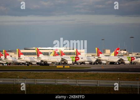 Aircrafts of TAP Air Portugal sit on the Humberto Delgado International Airport, in Lisbon, Portugal on March 24, 2020, as the spread of the coronavirus disease (COVID-19) continues. (Photo by Pedro FiÃºza/NurPhoto) Stock Photo