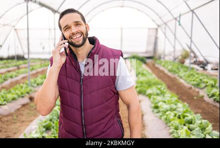 Serra, telefonata e uomo in agricoltura agricola parlare, discussione o raccolto conversazione. Agro, piccola impresa e agricoltore maschile dal Canada su 5g Foto Stock