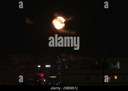 La luna piena di aprile, conosciuta anche come la luna rosa, è la più vicina dell'anno a Buenos Aires, il 8 aprile 2020 durante l'emergenza Coronavirus. Foto Stock