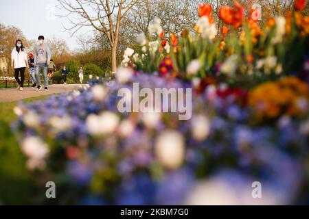 Le persone che indossano le maschere camminano davanti i tulipani fiorendo in un letto di fiori nel Rose Garden di Hyde Park a Londra, Inghilterra, il 9 aprile 2020. Mentre la Gran Bretagna inizia quello che si prevede sarà un caldo fine settimana di Pasqua, il Ministro degli esteri Dominic Raab oggi ha sottolineato l'importanza di non rinunciare a misure di "distanziamento sociale" in un momento in cui segni di speranza stanno cominciando a mostrare nei dati per le trasmissioni di coronavirus Covid-19 e ricoveri ospedalieri. Raab, attualmente in sostituzione del primo ministro ricoverato Boris Johnson (che ora non è più in terapia intensiva mentre continua a riprendersi dal virus), anno Foto Stock