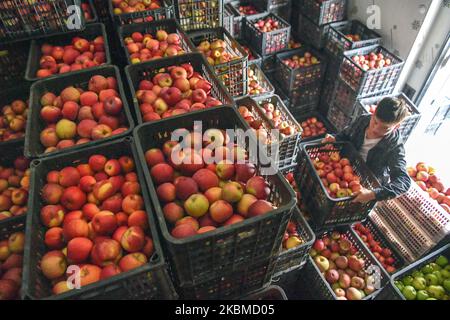 Weining, provincia cinese di Guizhou. 3rd Nov 2022. Un contadino trasporta le mele in un magazzino frigorifero nella Contea autonoma di Zhongshui, Weining Yi, Hui e Miao, provincia di Guizhou, nel sud-ovest della Cina, 3 novembre 2022. Weining County, con i suoi vantaggi naturali di alto livello del mare, bassa latitudine, lungo tempo di esposizione al sole e grande differenza di temperatura di giorno e di notte, ha sviluppato la piantagione di mele che ha portato ricchezza alla gente locale. Credit: Yang Wenbin/Xinhua/Alamy Live News Foto Stock