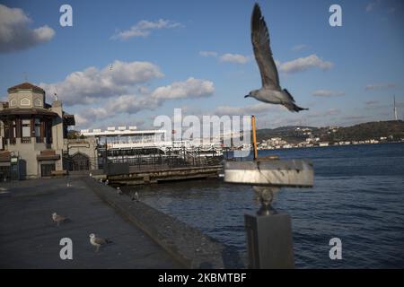 Una vista generale dal quartiere di Besiktas durante un blocco a Istanbul, Turchia, 23 aprile 2020. Il Ministero dell'interno turco ha annunciato che Istanbul e 30 grandi città saranno sotto blocco dal 23 al 26 aprile 2020 in mezzo alla pandemia di coronavirus COVID-19 in corso. La Turchia ha sospeso tutti i voli internazionali e tutti i viaggi interurbani sono soggetti all'autorizzazione delle autorità locali nell'ambito di misure volte a prevenire la diffusione della pandemia COVID-19 causata dal coronavirus SARS-COV-2. (Foto di CEM TekkeÅŸinoÄŸlu/NurPhoto) Foto Stock