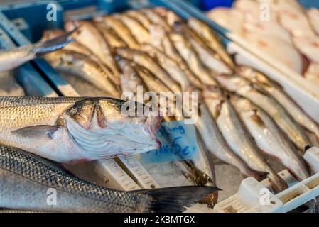 Vista generale del mercato del pesce lungo la costa belga del Mare del Nord. Il 22 aprile 2020 il Consiglio europeo adotta norme a favore dei pescatori europei.nuove norme volte ad attenuare l'impatto dell'epidemia COVID-19 sul settore della pesca e dell'acquacoltura. Le nuove norme assumono la forma di modifiche al regolamento sul Fondo europeo per la pesca e la navigazione marittima (FEP) e al regolamento sull'organizzazione comune dei mercati (OCM). Si prevede che entreranno in vigore entro la fine della settimana. 23 aprile 2020 Jonathan Raa / Nurphoto (Foto di Jonathan Raa/Nurphoto) Foto Stock